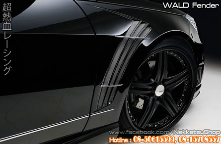 ҧ Benz W212 WALD Sport Black Bison