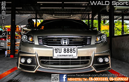 ش Accord G8 ç WALD Sport շͧ