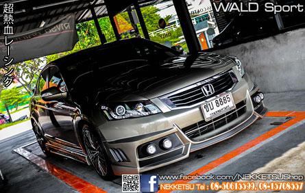 ش Accord G8 ç WALD Sport շͧ