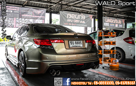 ش Accord G8 ç WALD Sport շͧ