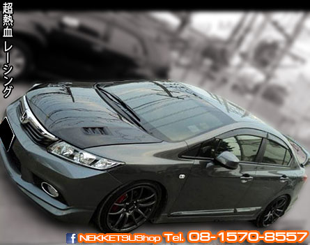 ҡç˹ Civic FB 2012 Mugen RR Carbon