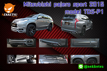 MITSUBISHI-PAJERO-TPS-P12015.jpg