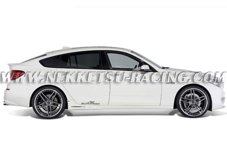 BMW 5 Series F07 GT  AC SCHNITZER 