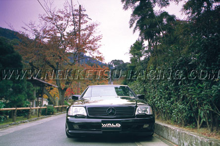 Mercedes Benz  SL-Class R129 WALD