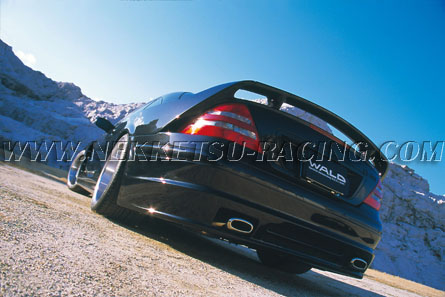 Mercedes Benz  CL-Class W215  WALD