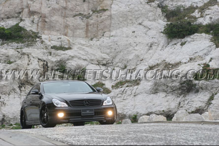 Mercedes Benz  CLS-Class W219  WALD