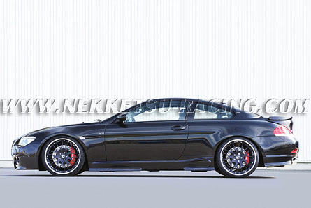 BMW E 63 Coupe up to MY 8/2007