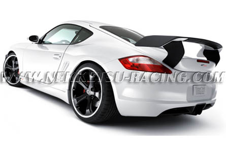  Cayman
(987) Sport  TECHART